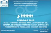 UNEG-AS 2012-Pres4: Controles internos para la operación de sistemas. Controles internos para la entrada, procesamiento y salida de datos