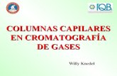 Columnas Capilares en Cromatografía de Gases