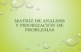 Matriz de analisis y priorizacion de problemas