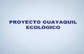 Enlace Ciudadano Nro 337 tema:  proyecto guayaquil ecológico