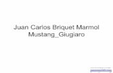 Juan Carlos Briquet Marmol Mustang giugiaro