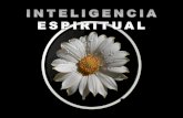 Inteligencia espiritual