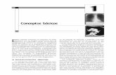 Conceptos básicos imagenología torax