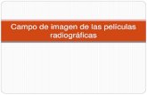 odontología - Campo de imagen en radiografias