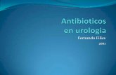Atb en Urología