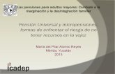 Curso Yucatán "Las pensiones para adultos mayores: combate a la marginación y la desintegración familiar."