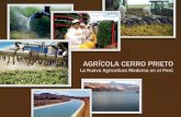 Agorindustria Peruana - Cerro Prieto