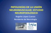 Patologías de la unión neuromuscular: Estudio neurofisiológico