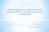 Política agrícola en Chile y comercio internacional: el rol de las barreras no arancelarias