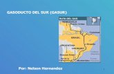 Gasoducto Del Sur (Gasur)