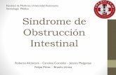 Síndrome de obstrucción intestinal