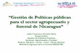 Gestion de politicas publicas para el sector agropecuario y forestal
