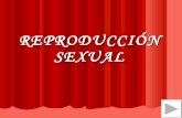 Reproducci³n sexual