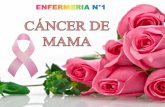 cáncer de mama CaMa