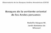 Bosques andino amazonicos-Perú