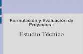 Formulacion y evaluacion de proyectos.estudio tecnico