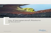 Folleto Unexpected Nature