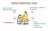 Anemia infecciosa aviar