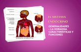 Sistema Endocrino - Generalidades - La Hormona: Caracteristicas y Funciones