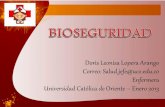 Presentación bioseguridad enero 30 2013