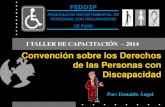 Convencion Sobre los Derechos de las Personas con Discapacidad