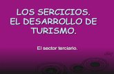 Presentacion De Sociales"sector terciario"