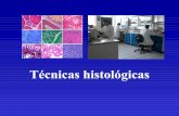 Clase de técnicas histológicas y célula 2011