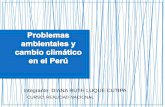 PROBLEMAS AMBIENTALES Y CAMBIO CLIMÁTICO EN EL PERÚ - REALIDAD NACIONAL