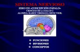 Sistema nervioso (Central y periferico)