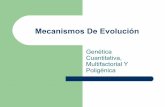 9 Mecanismos De EvolucióN