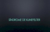Klinefelter sindrome