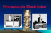 MicroscopíA ElectróNica