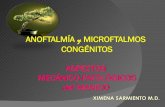 Anof microf-ocularist2010 pp03