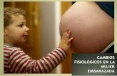 4. fisiologia del embarazo. cambios grales. y locales