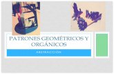 Patrones geométricos y orgánicos