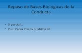 Repaso de  Bases Biológicas de la Conducta de anatomía