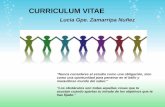 Curriculum vitae presentacion_