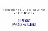 Inés rosales, Diseño Industrial: la importancia de su protección
