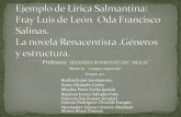 Ejemplo de lírica Salmantina. Fray Luis de León. La novela Renacentista.