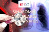 Síndromes vasculares pulmonares