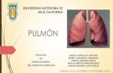 PULMON PATOLOGIA ESPECIAL