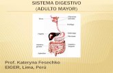 1.6 sistema digestivo