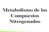 Metabolismo de los compuestos nitrogenados