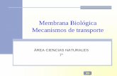 Membrana biológica mecanismos de transporte