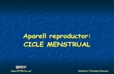 Aparell Reproductor - Cicle Menstrual