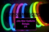 Biología.  quimioluminiscencia (1)julia