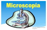 Microscopía  4°c