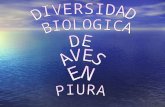 Diversidad Biologica De Aves En Piura