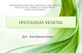 Histologia vegetal resumen