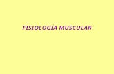 Fisiologa Muscular Dr. Olivera